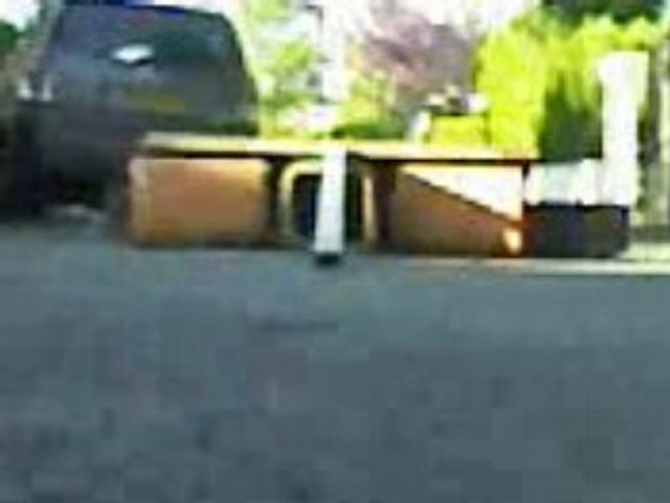Polo skate