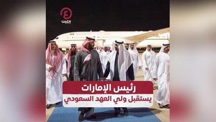 رئيس الإمارات يستقبل ولي العهد السعودي