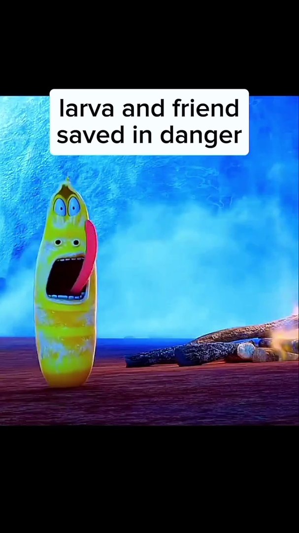 Larva Cartoon|| kids cartoon|| New kids movies