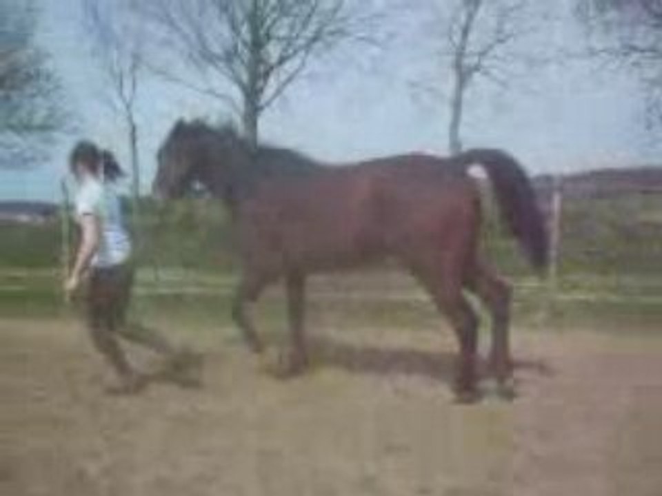 NOrbert le 26