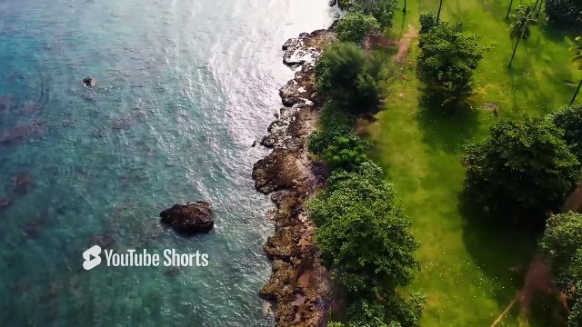 Felek - Zena (Kseniia Prostitova) _ Nostaljik Türkçe Sözlü Pop Müzik