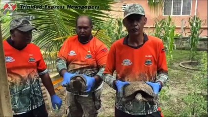 24 TORTOISES RESCUED BY HSRT & GAME WARDENS