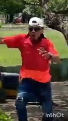 Wild animals run amok