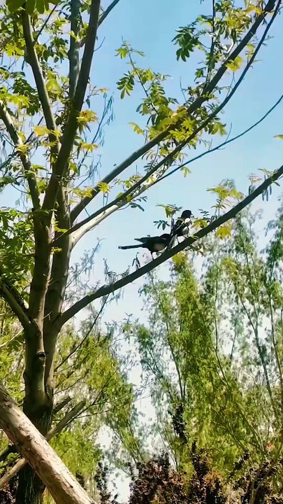 In a bygone life, Jillian, the progeny of the wealthiest man, concealed her lineage in her quest for Dominick, a destitute lad. To safeguard Dominick's tattered dignity, Jillian went to any length to aid him clandestinely, nearly severing ties with her af