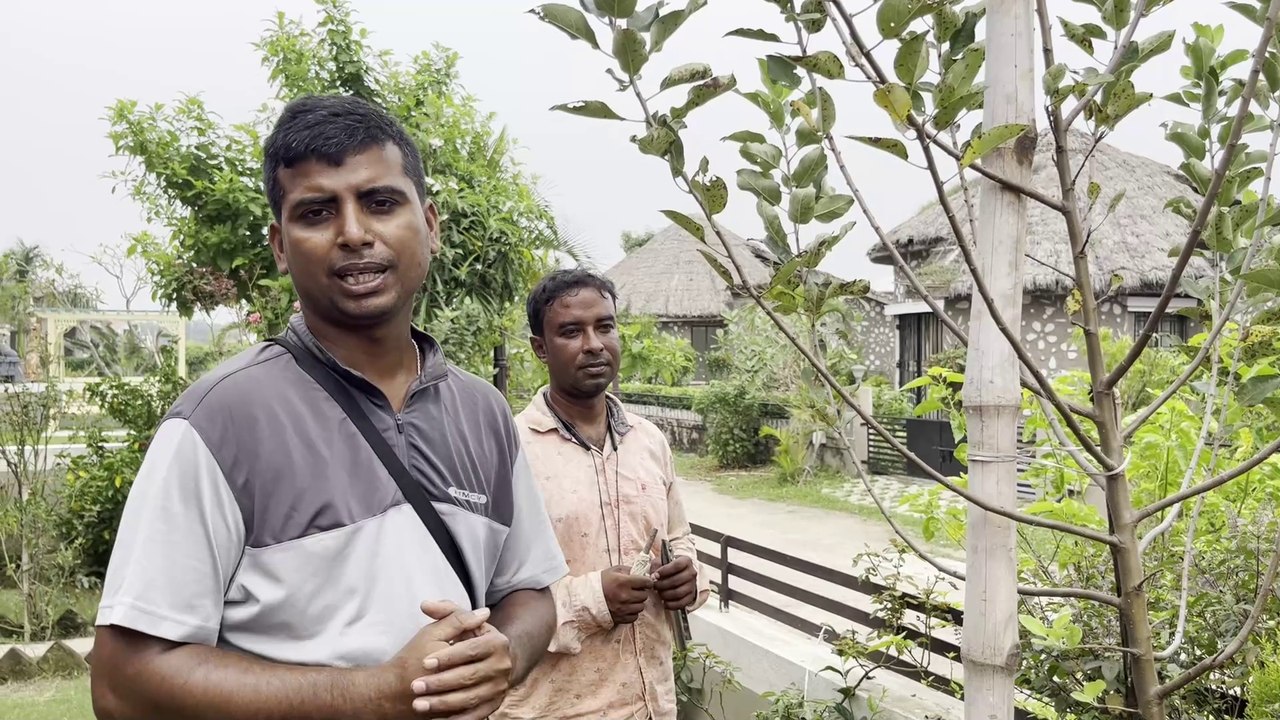 গরমের আপেল গাছের জন্য শীতের শুরুতে করণীয়