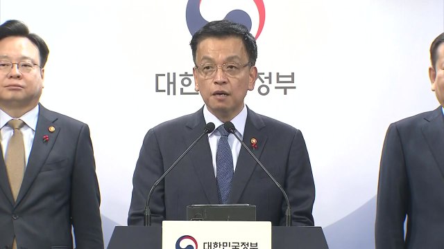 정부 야당 감액안, 우리 경제 리스크 가중...민생 경제 지원 차질 / YTN