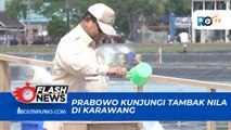 KUNJUNGI TAMBAK NILA DI KARAWANG, PRABOWO DORONG KETAHANAN PANGAN DAN GIZI