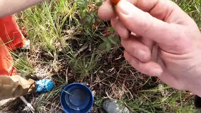 Camping in a Bushcraft Shelter with Newbies! Fishing, camping and campfire cooking in Alaska