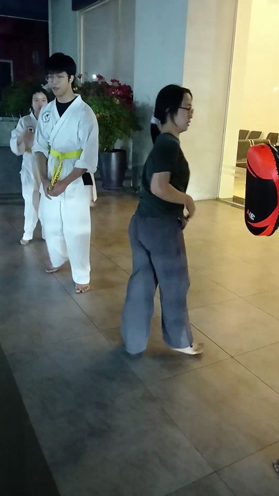 Taekwondo, tkd 20241121_193249