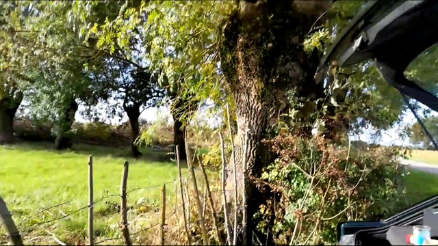 générique épisode 1 sur 4 pique-nique à la plage arrière