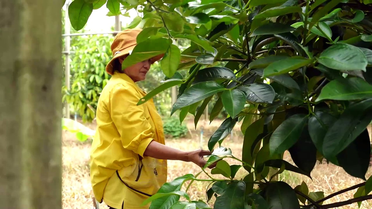 โครงการขุดลอกอ่างเก็บน้ำไทยประจัน จ.ราชบุรี
