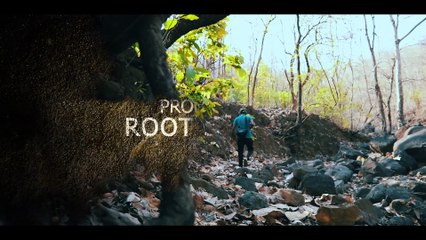 BED DREAM TRAILER  ROOT UNIVERS - 2160