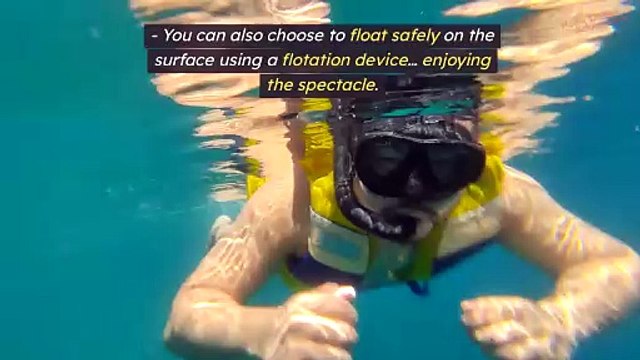 How Non-Swimmers Can Safely Enjoy Snorkeling With Manta Rays In Kona