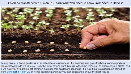 Colorado Man Benedict T Palen Jr. - Learn What You Need To Know From Seed To Harvest