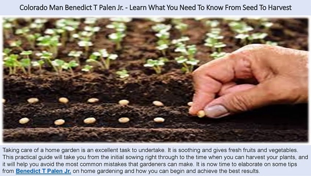 Colorado Man Benedict T Palen Jr. - Learn What You Need To Know From Seed To Harvest