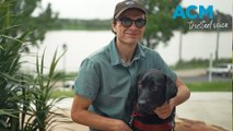 How guide dog Grainger helped Ben find success after sight loss