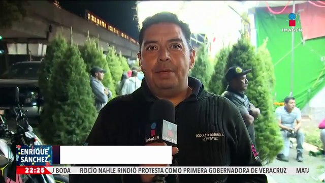 Inicia la venta de árboles de Navidad en el Mercado de Jamaica, en la CDMX