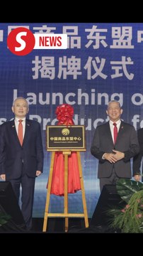 China should be seen as a partner, not rival, says Dr Wee