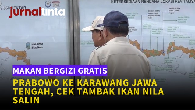 Prabowo Kunjungi Tambak Ikan Nila Salin di Karawang untuk Makan Bergizi Gratis, Bisakah Terealisasi?