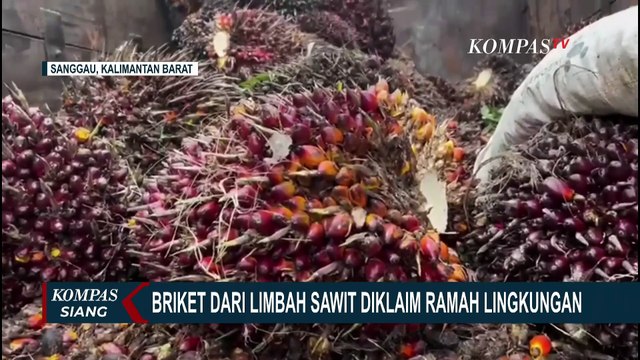 Limbah Sawit Diubah Jadi Briket, Bahan Bakar Alternatif Terbarukan Ramah Lingkungan