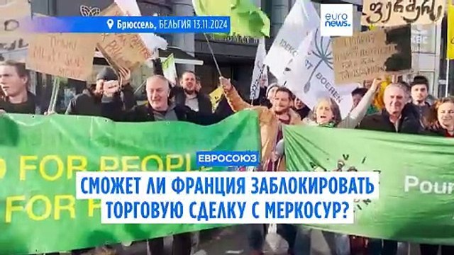 Может ли Франция заблокировать торговое соглашение между ЕС и МЕРКОСУР?