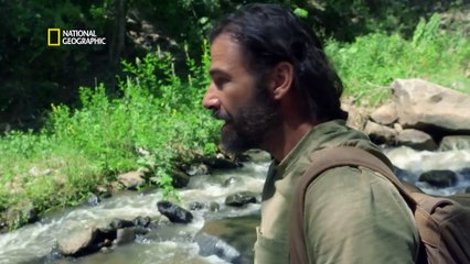 Elephants in the Great Rift | Primal Survivor | हिंदी | Full Episode | S7 - E2