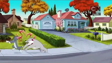 الموسم الأول الحلقة 15 الخامسة عشر كاملة مدبلج عربي tom and jerryكرتون قصص توم وجيري