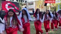 Osmaniye'de Yeşil Altın Zeytin Festivali
