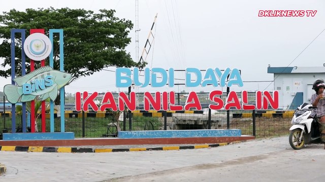 Prabowo Kunjungi Tambak Ikan Nila Salin di Karawang, Cek Potensi Bahan Makan Bergizi Gratis