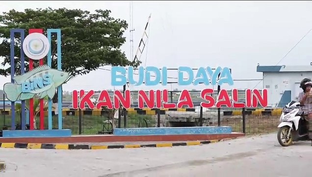 Prabowo Kunjungi Tambak Ikan Nila Salin di Karawang, Cek Potensi Bahan Makan Bergizi Gratis