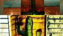 🌵 ｜ Porfidio®  Anejo Slide Show