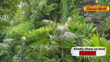 CONGO 10 Strangest Things That are Only Found here, the last will shock you