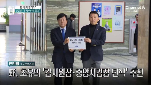 민주당, ‘감사원장·중앙지검장’ 탄핵 릴레이…왜?