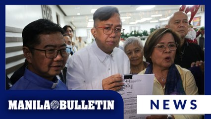 De Lima, Akbayan seek VP Sara's impeachment