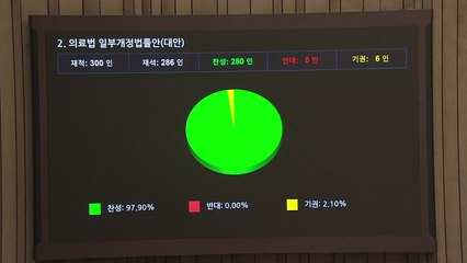 '임신 32주 이전 성별 고지 가능' 개정안 국회 통과 / YTN