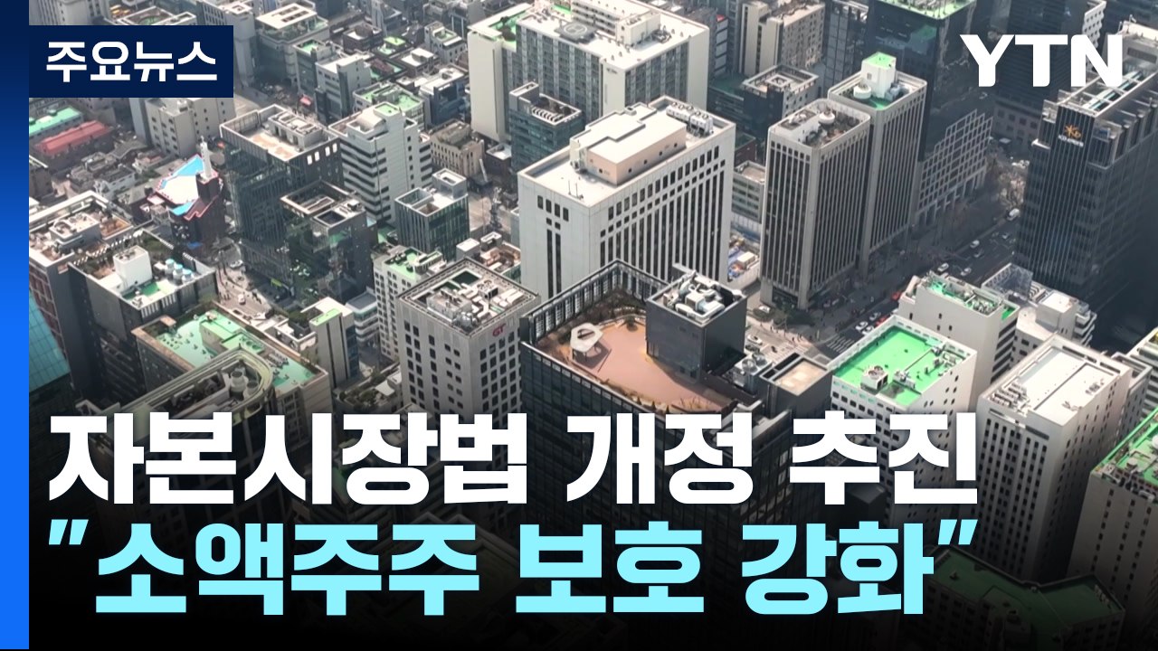 상법 대신 자본시장법 개정 추진..."소액 주주 보호" / YTN