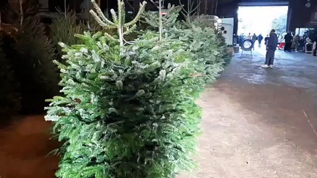 Farm Shop celebrates annual festive fayre in Doncaster