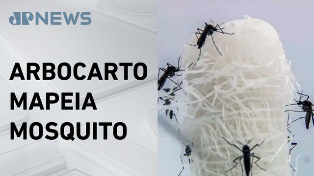 Parceria com a França traz ao Brasil tecnologia para mapear e combater o mosquito da dengue