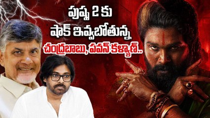 Pushpa 2 Release దగ్గర పడుతున్నా కొద్ది ఉత్కంఠ.. అక్కడ CM, Dy CM చేతిలోనే అంతా | Filmibeat Telugu