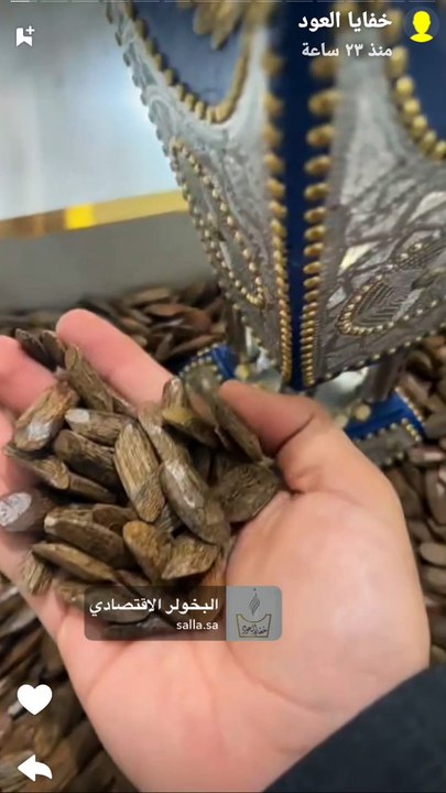 خفايا العود