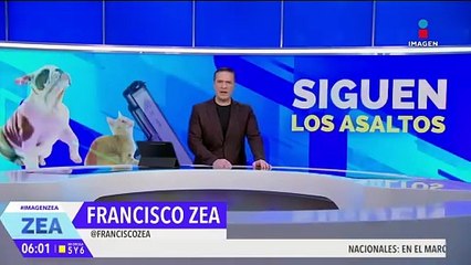 Captan asalto en una veterinaria en Cuernavaca