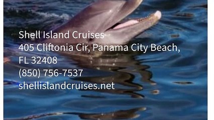Shell Island Cruises