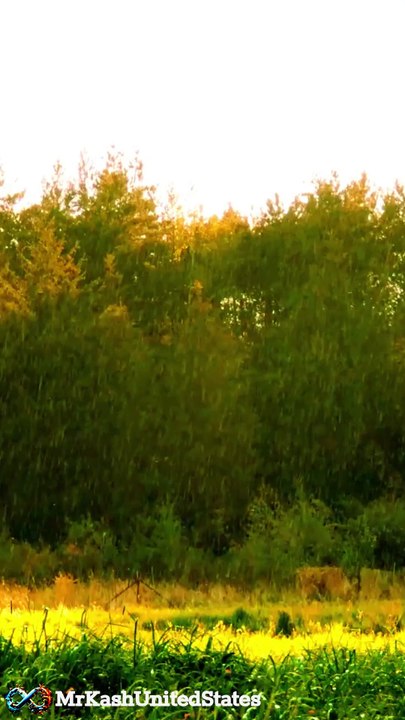 Importance Of Rain In English || part 01....Subscribe for contents. #shorts #nature #relaxing #relax