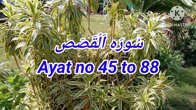 Surah Al Qasas | Tilawat Al Qasas | quran recitation | quran pak ki tilawat | learn quran |