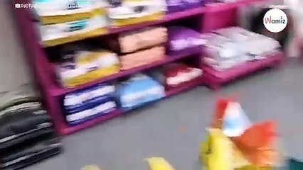 Mann öffnet jeden Morgen die Ladentür, um etwas Wunderschönes zu tun (Video)