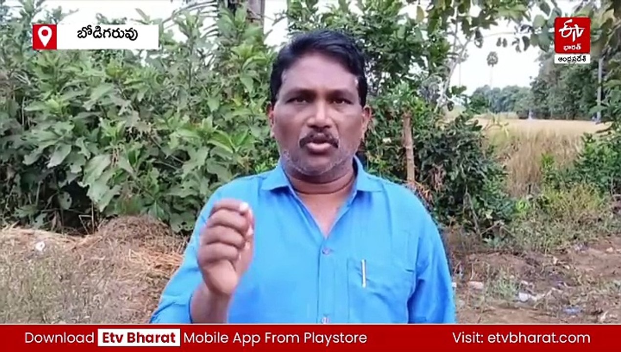 ఆగని డోలీమోత- గిరిపుత్రుల ఆవేదన