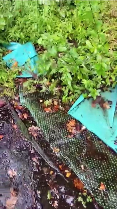 Sewage water backing up out of a drain in a Sway property