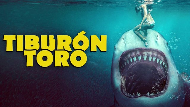Tiburón Toro | Película Completa Español Latino HD (1080p) | Monstruos