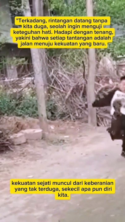 boy vs rooster