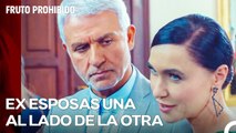 Ender Se Esfuerza Por Hacerse Famoso - Fruto Prohibido Capitulo 20